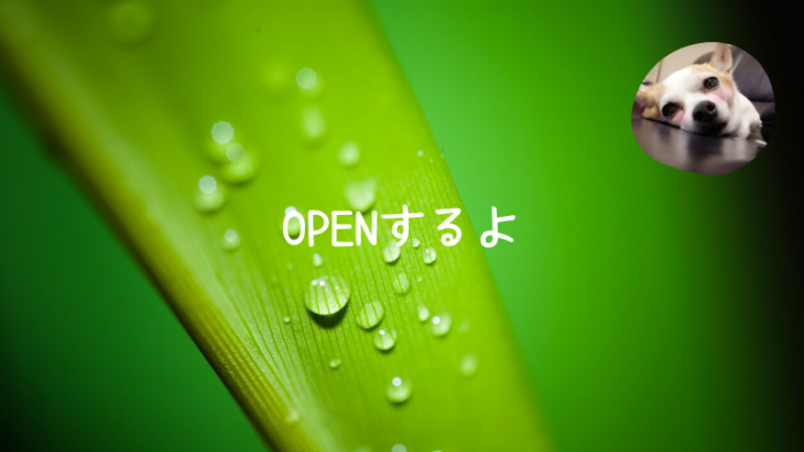 6月29日OPEN♡