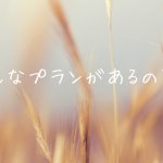 レンタルプランのご案内🍖