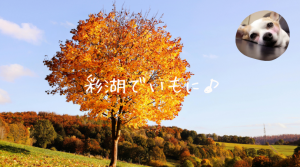 彩湖・道満グリーンパーク BBQガーデン