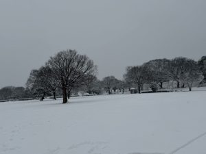 彩湖・道満グリーンパーク BBQガーデン