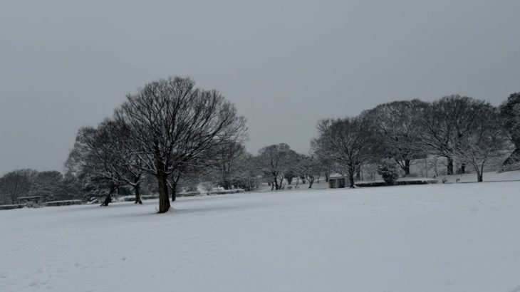 まるで雪世界？！