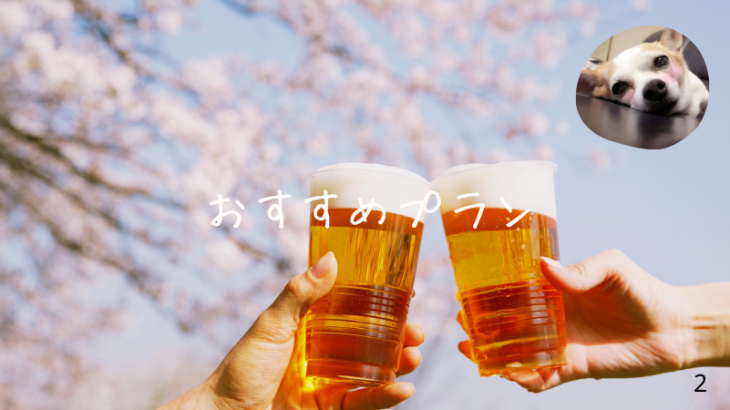 おすすめのプラン❤
