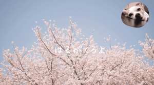 彩湖・道満グリーンパーク BBQガーデン