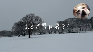 彩湖・道満グリーンパーク BBQガーデン