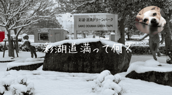 彩湖道満グリーンパークって何がすごいの？