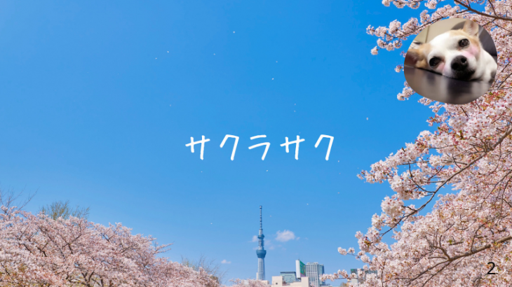 さくらさく