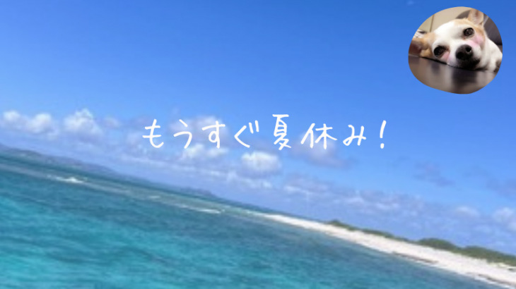 もうすぐ夏休み！