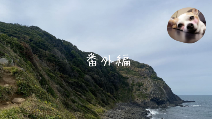 思い出