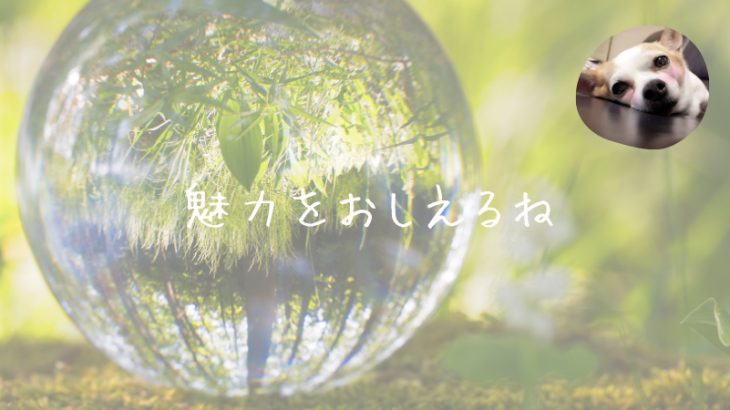 彩湖グリーンパークBBQガーデンの魅力