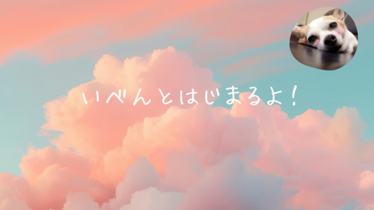 明日はイベント🐶