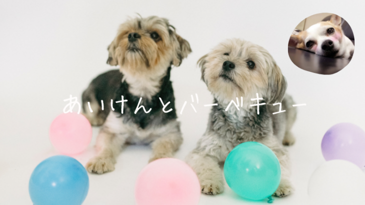 愛犬とBBQを楽しもう♡