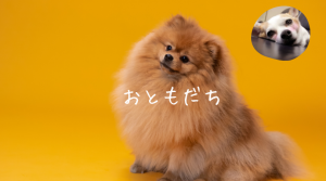 彩湖・道満グリーンパーク BBQガーデン
