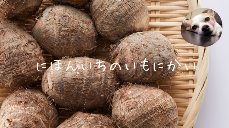 秋と言ったら芋煮会♡