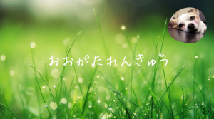 彩湖・道満グリーンパーク BBQガーデン