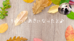 彩湖・道満グリーンパーク BBQガーデン