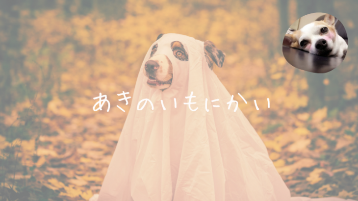 秋は芋煮会を楽しもう♡