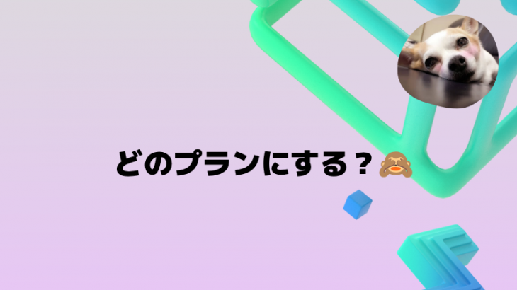 僕のオススメ🐶