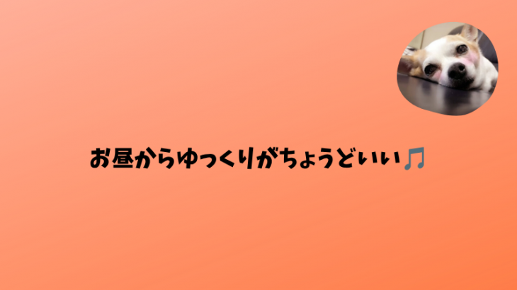 「昼からゆっくり」がちょうどいい🍖👀
