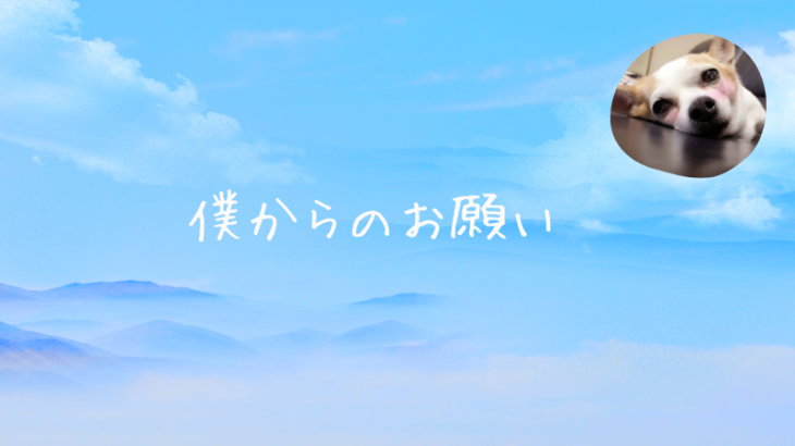 僕からのお願いだよ！