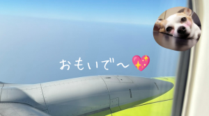 彩湖・道満グリーンパーク BBQガーデン