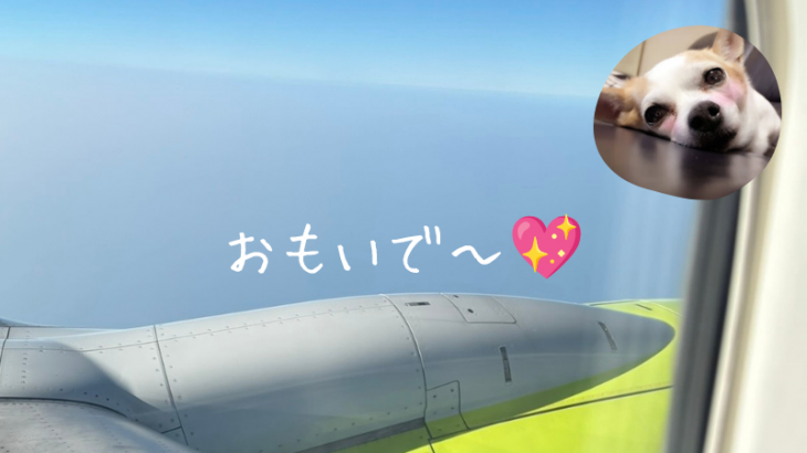 おもいで～💖